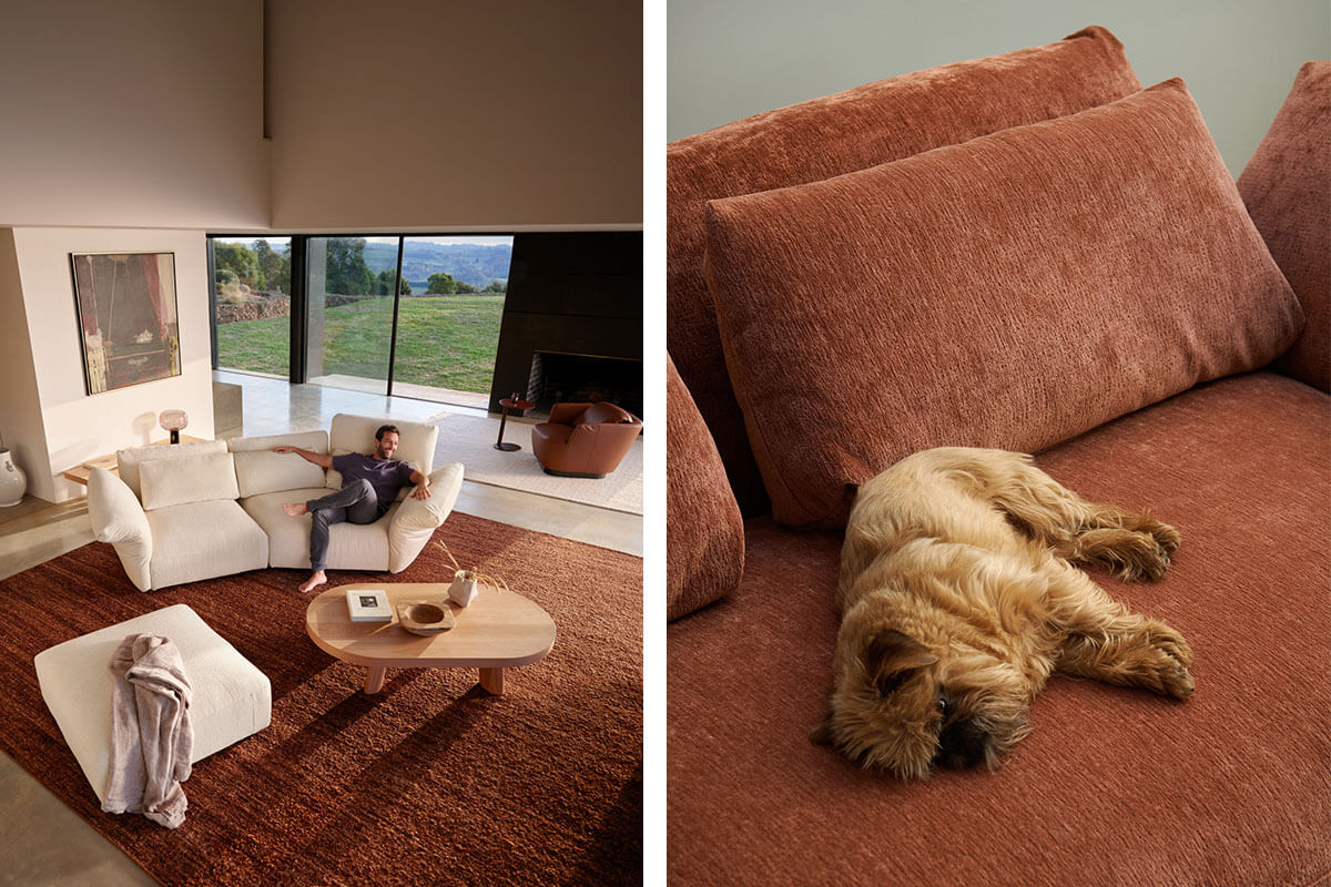 A modern farmhouse style interior, with a modular sofa, styled with warm rustic décor (left). Dog lounging on comfortable sofa (right).